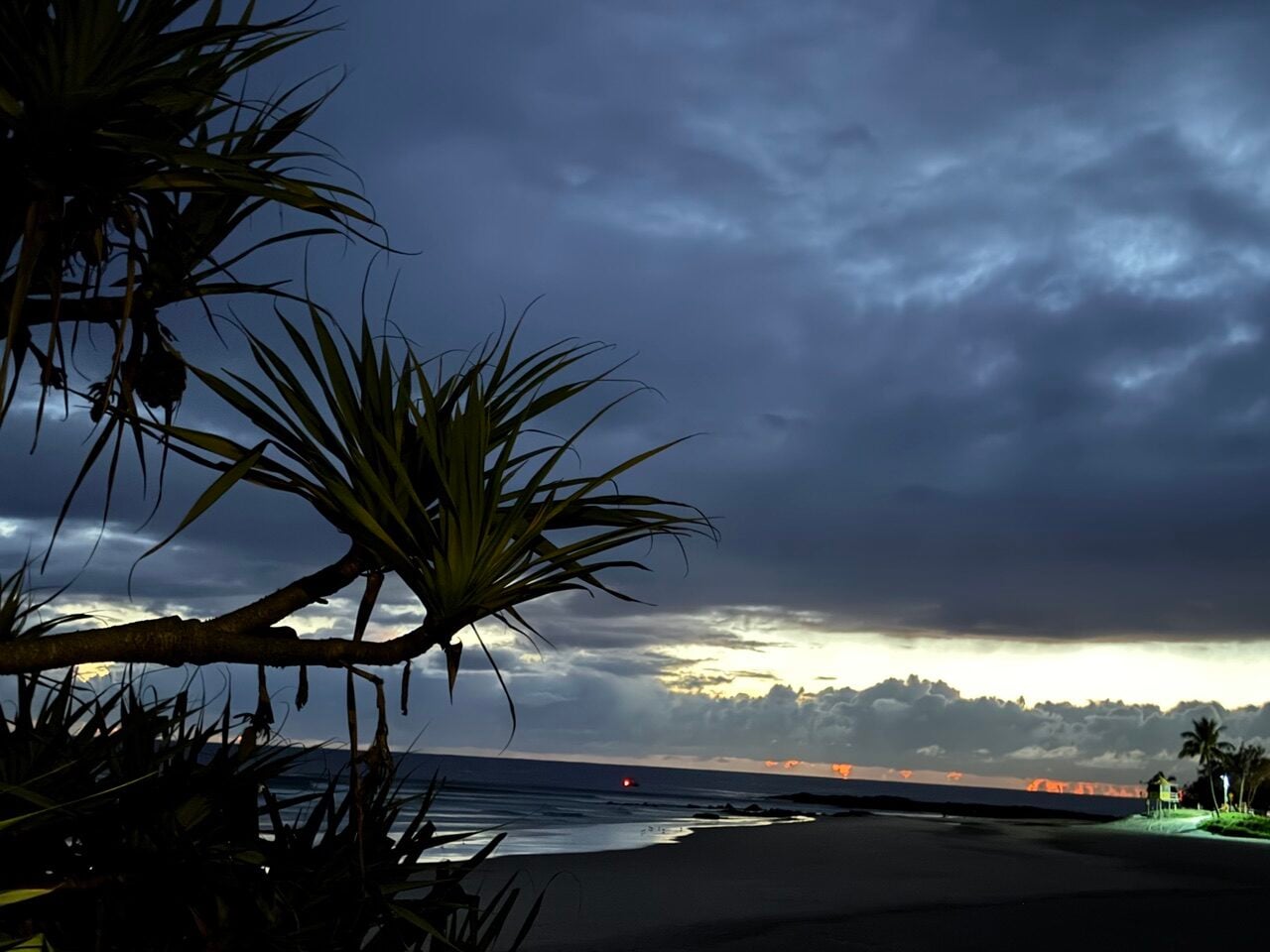 dark sky dawn, beach, and trees