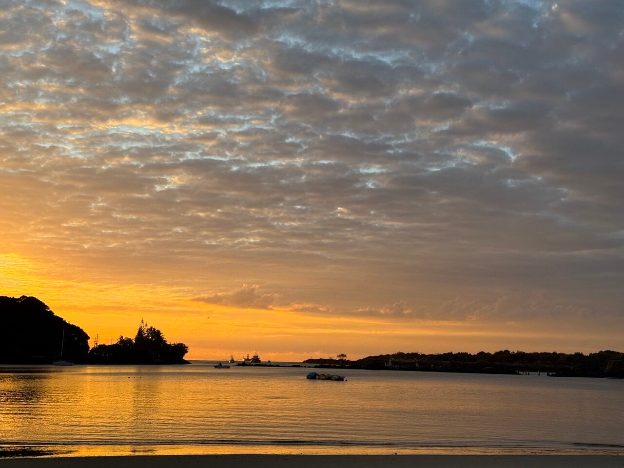 sunrise over a calm bay, golden light