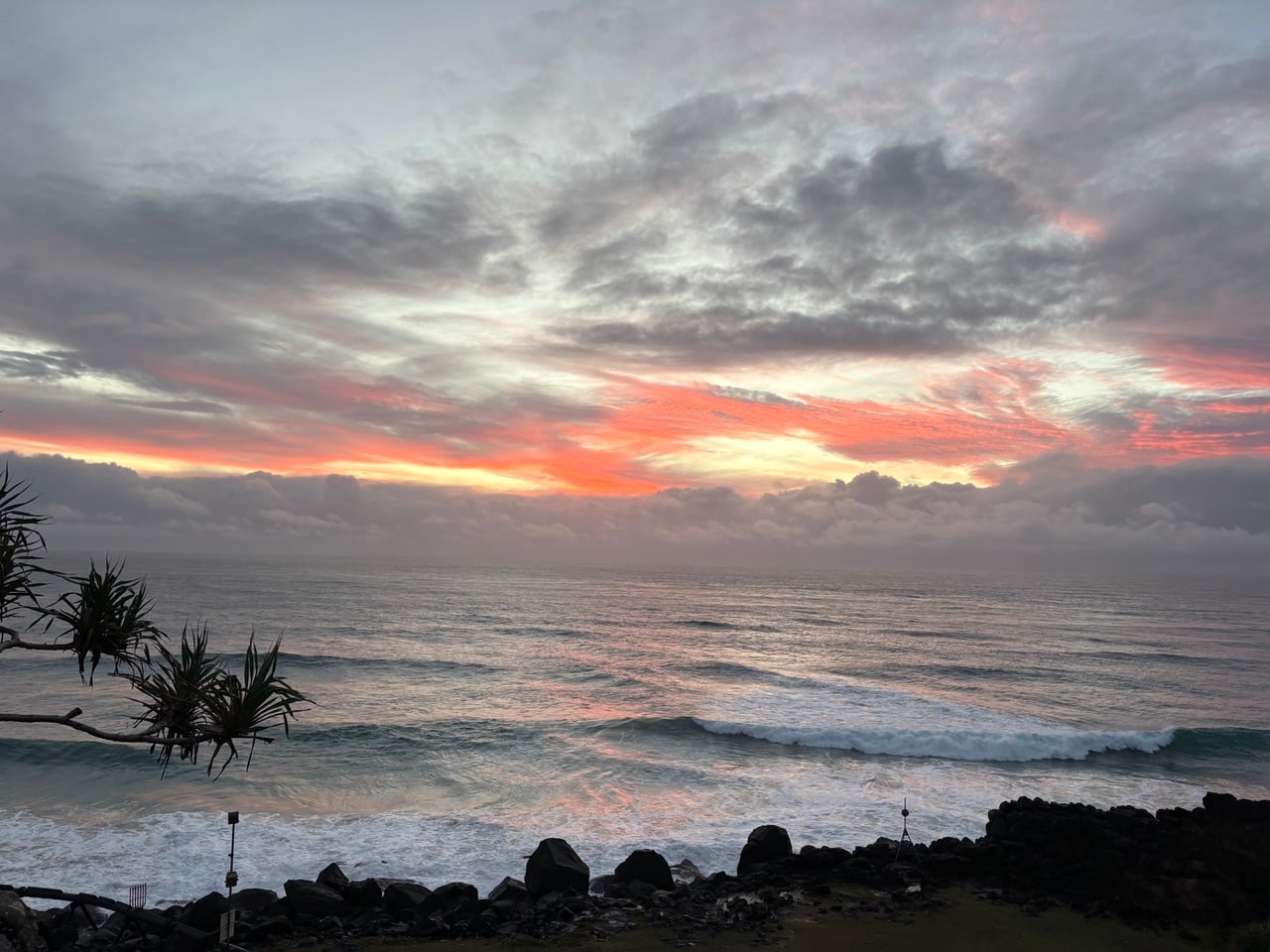 Sunset over the ocean with orange-pink clouds, waves breaking on a rocky shoreline; a spiky-leaf branch extends from the left.