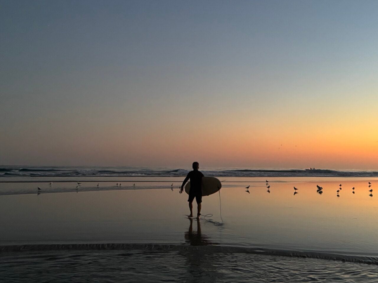 a lone surfer walks across sand with seagulls and sunrise