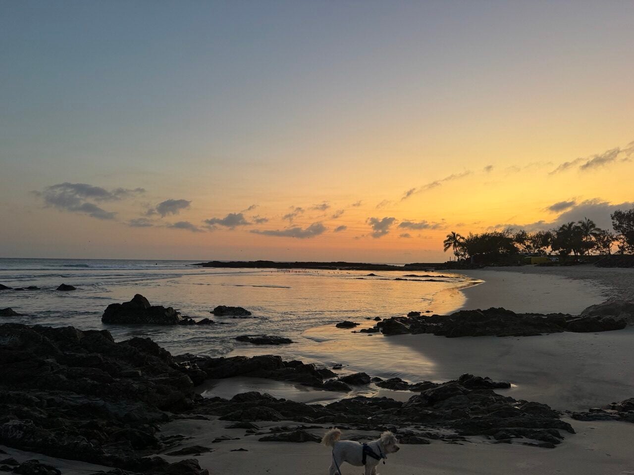 golden yellow sunriswe over ocean and rocks